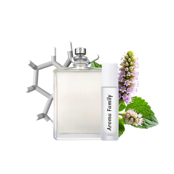 Масляний парфум Aroma Family - Molecule 01 + Patchouli - 10 мл 778253 фото